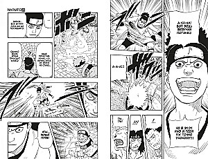Naruto. Grāmata 8. Pārdzimšana