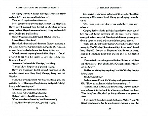 Harry Potter and Chamber of Secrets