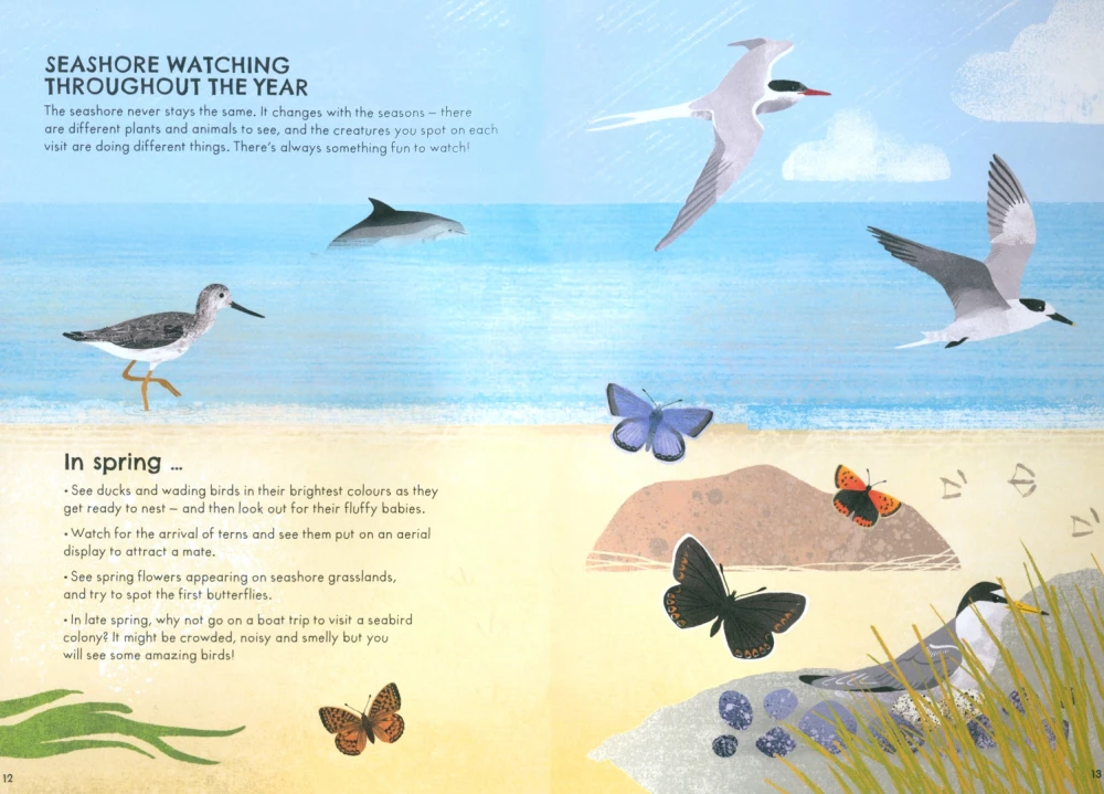 RSPB Nature Guide: Seashore