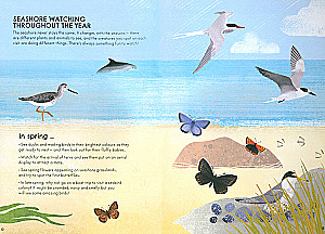 RSPB Nature Guide: Seashore