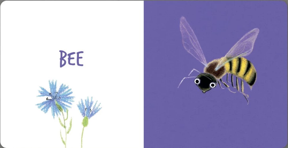 Insects