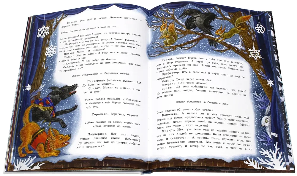 Divpadsmit mēneši