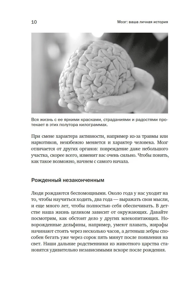 Smadzenes: jūsu personīgā stāsts