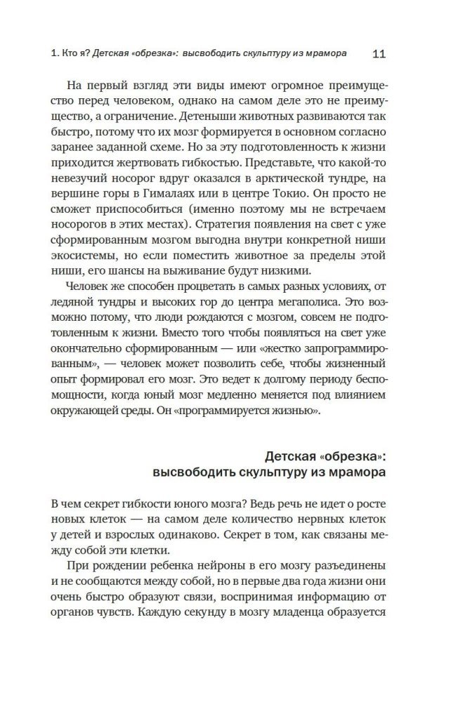 Smadzenes: jūsu personīgā stāsts