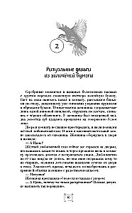 Крылья золотой птицы. Гоцюй