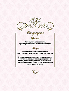 Феи-хранительницы чудесного сада. Раскраска