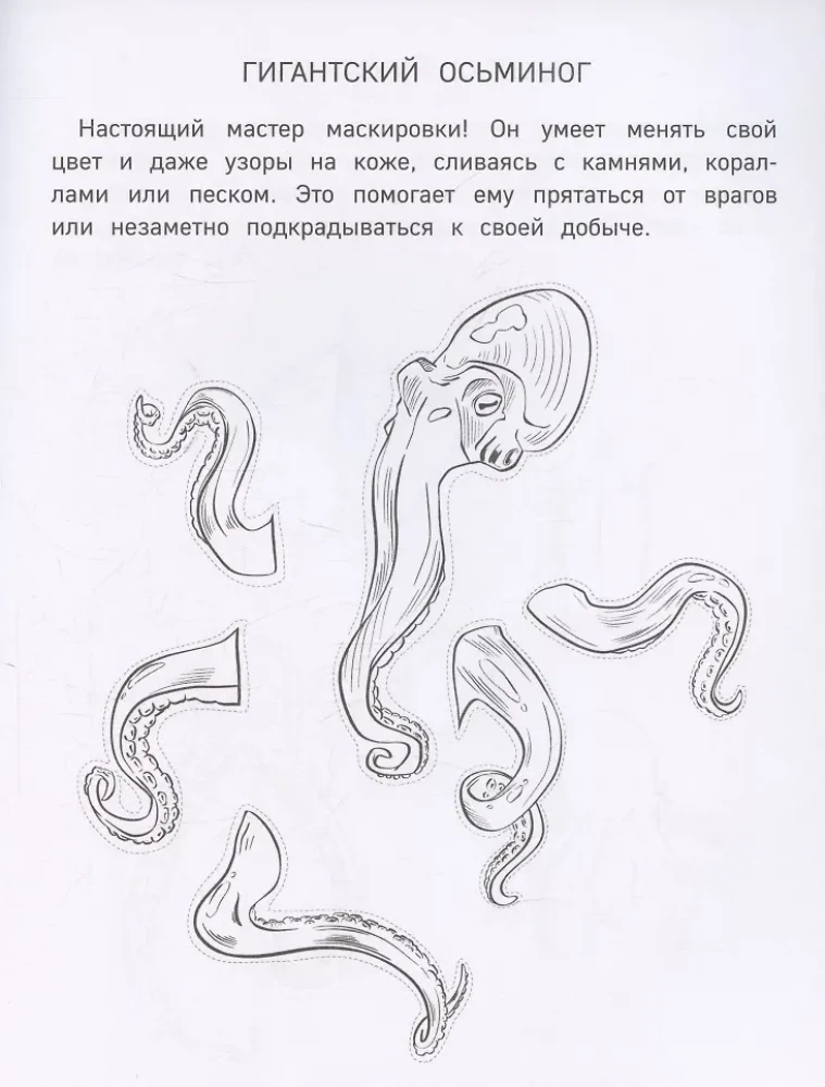Бумажные морские монстры. Вырежи, раскрась, играй. 12 готовых схем