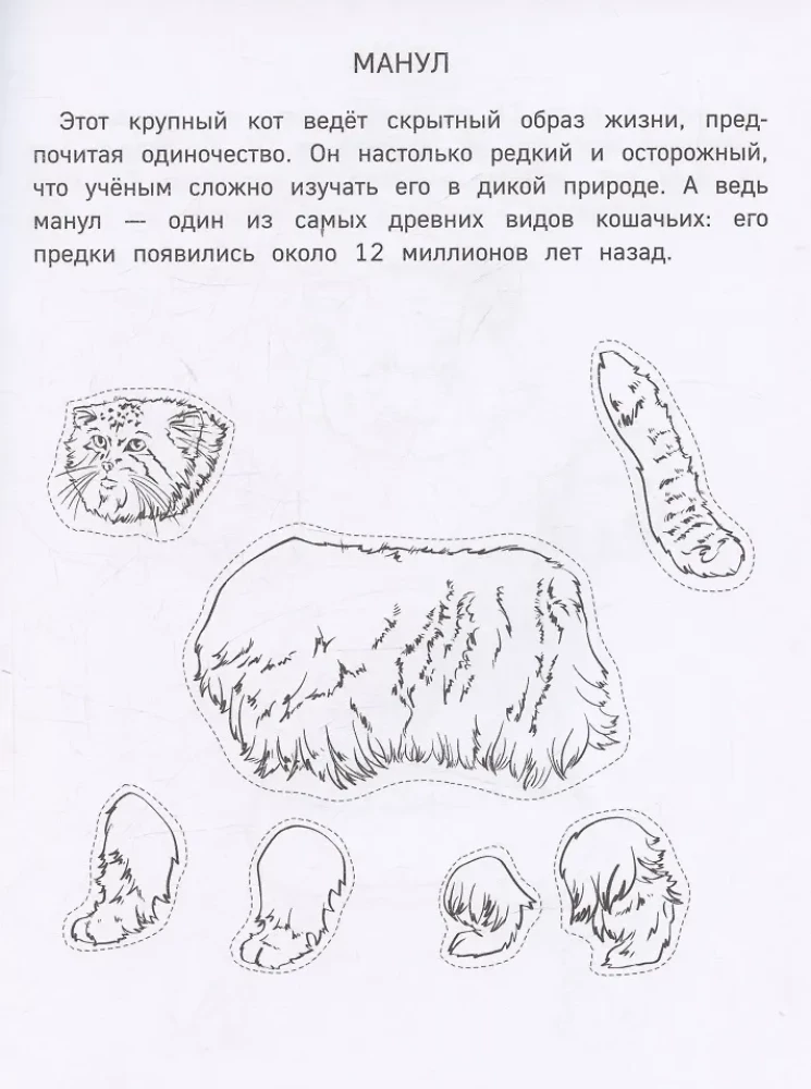 Papīra zooloģija. Izgriez, krāso, spēlē. 12 gatavas shēmas