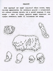 Papīra zooloģija. Izgriez, krāso, spēlē. 12 gatavas shēmas
