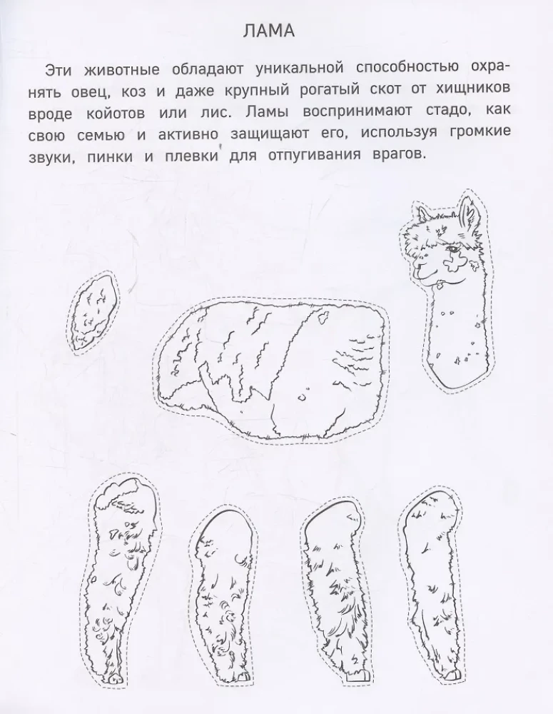 Papīra zooloģija. Izgriez, krāso, spēlē. 12 gatavas shēmas
