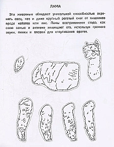 Papīra zooloģija. Izgriez, krāso, spēlē. 12 gatavas shēmas
