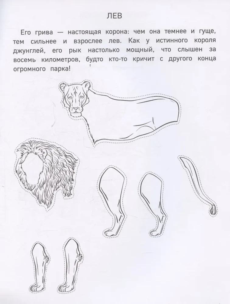 Papīra zooloģija. Izgriez, krāso, spēlē. 12 gatavas shēmas