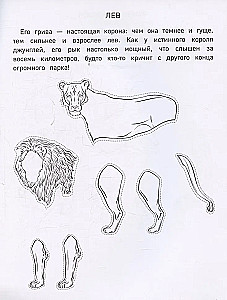 Papīra zooloģija. Izgriez, krāso, spēlē. 12 gatavas shēmas
