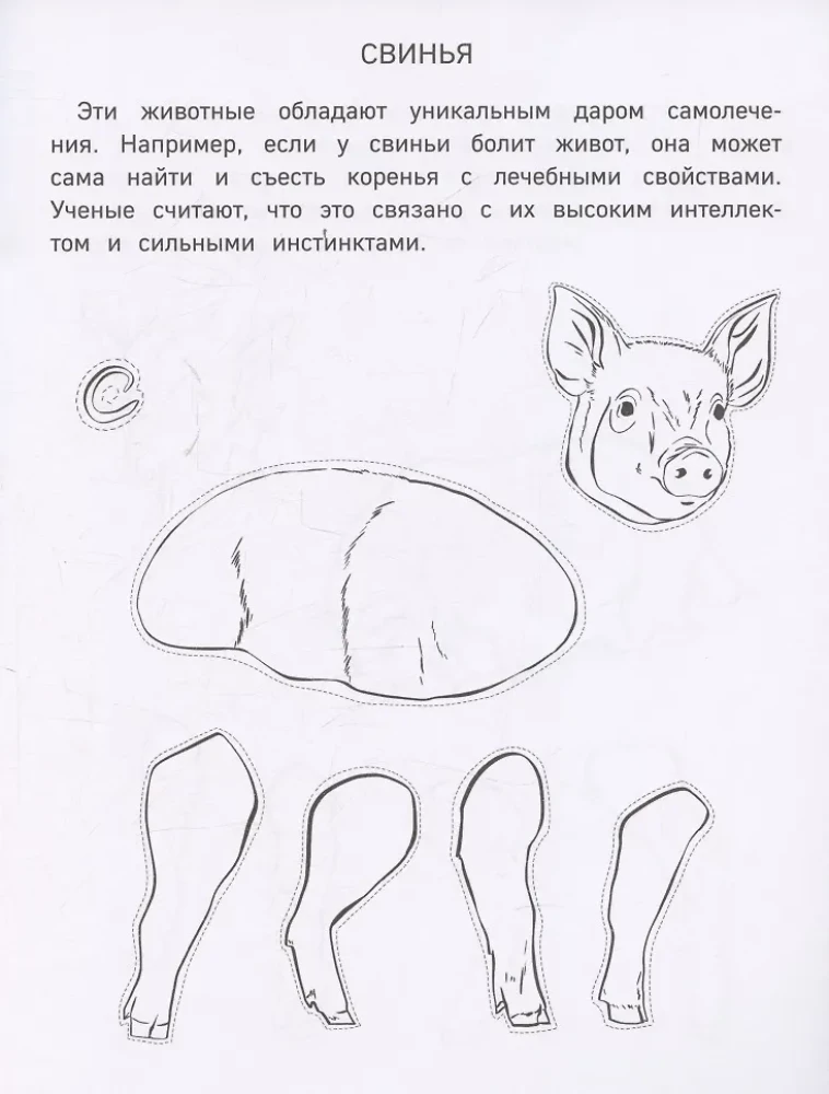 Papīra ferma. Izgriez, krāso, spēlē. 12 gatavas shēmas