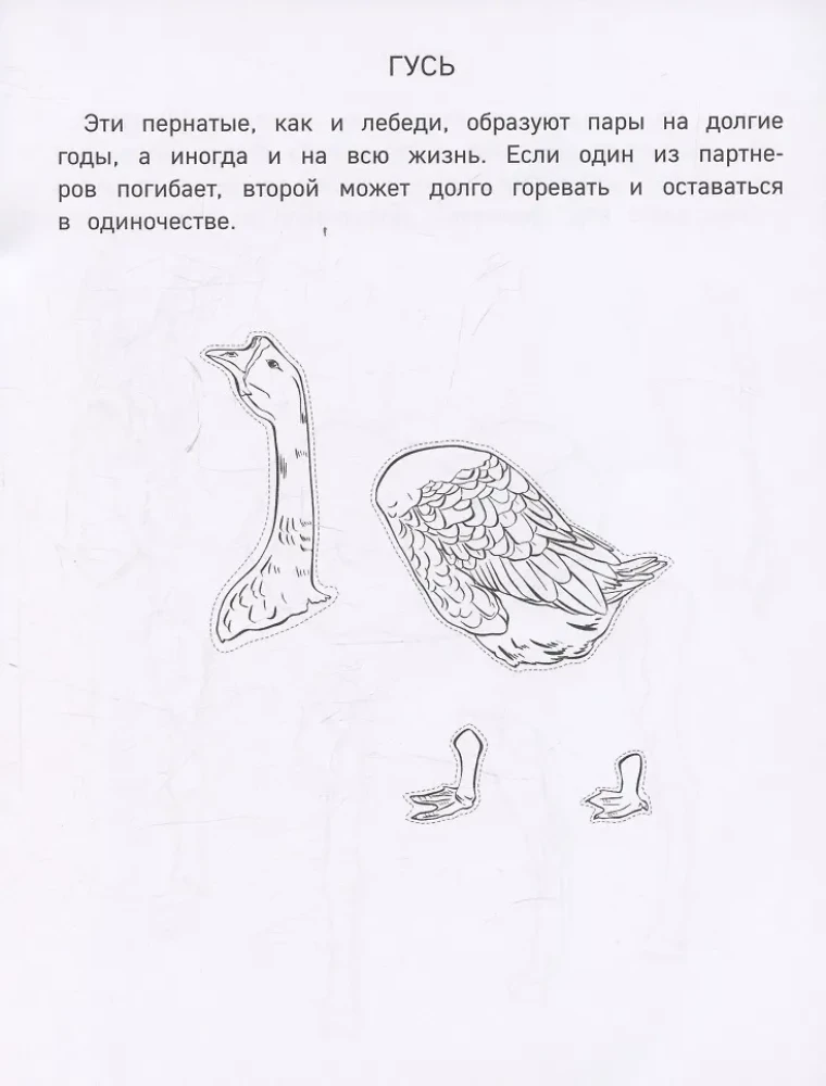 Papīra ferma. Izgriez, krāso, spēlē. 12 gatavas shēmas