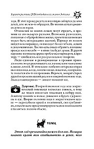 Vispilnīgākais horoskops 2026. gadam. Astroloģiskā prognoze visiem Zodiaka zīmēm
