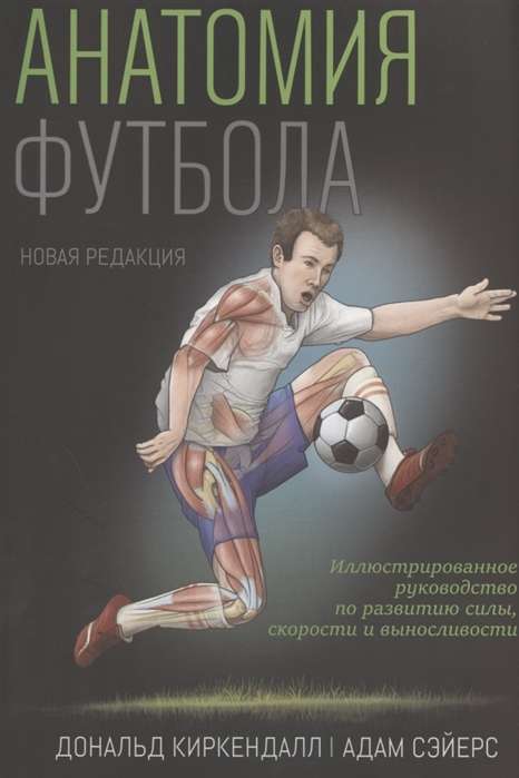 Анатомия футбола