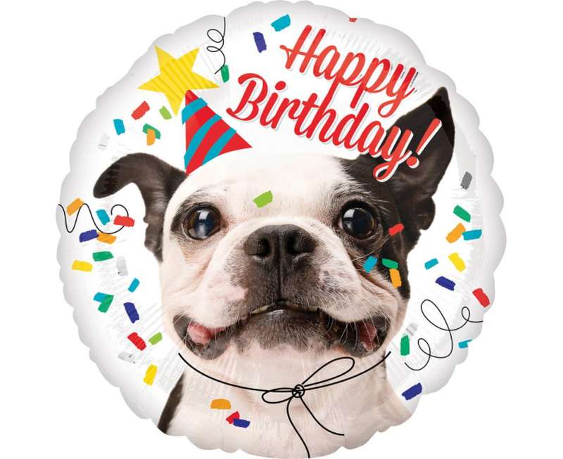 Follija balons 18 RND Happy Birthday Dog
