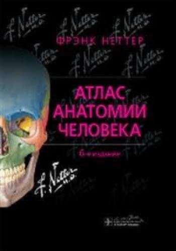 Атлас анатомии человека. 6-е издание